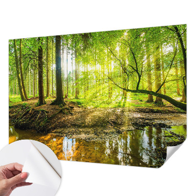 3D fotobehang Groen landschap