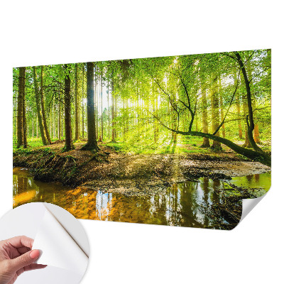 3D fotobehang Groen landschap