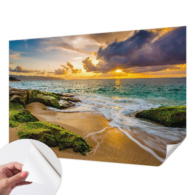 Foto behang voor de kinderkamer Maritieme harmonie