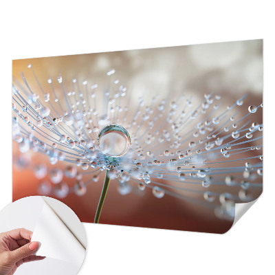 3D fotobehang met een afbeelding van een druppel op een paardenbloem