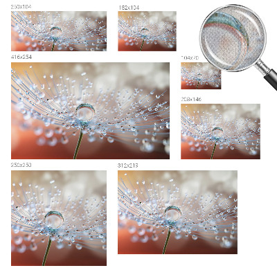 3D fotobehang Een druppel op een paardenbloem