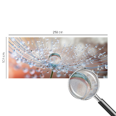 3D fotobehang Een druppel op een paardenbloem