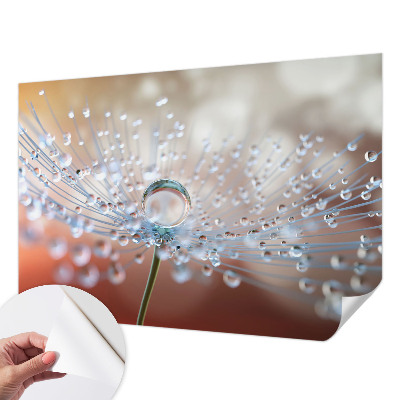3D fotobehang met een afbeelding van een druppel op een paardenbloem