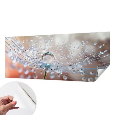 3D fotobehang met een afbeelding van een druppel op een paardenbloem