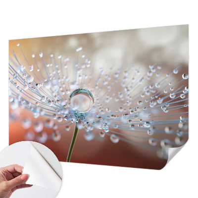 3D fotobehang met een afbeelding van een druppel op een paardenbloem