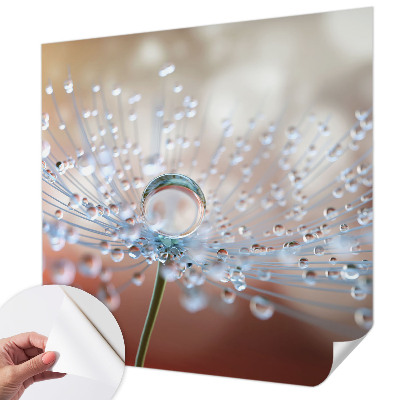 3D fotobehang met een afbeelding van een druppel op een paardenbloem