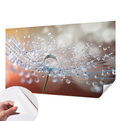 3D fotobehang met een afbeelding van een druppel op een paardenbloem