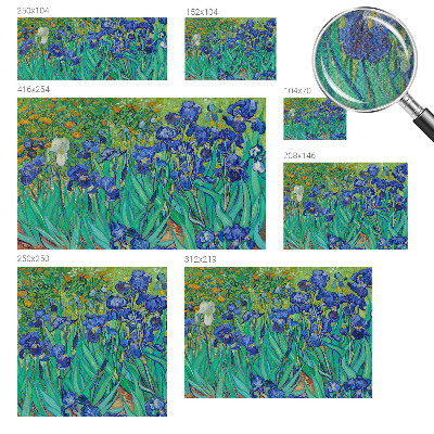 Fotobehang voor de kinderkamer Tuinbloemen