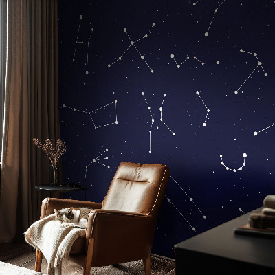 Fotobehang voor de kinderkamer met een sterrenhemel-ontwerp
