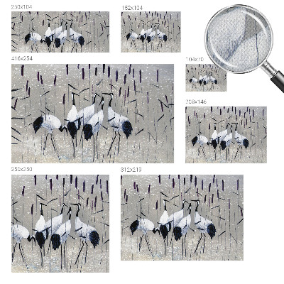 Fotobehang voor kinderkamer Harmonieuze kraanvogels