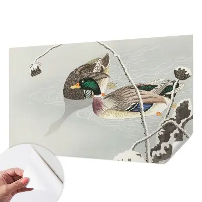 Fotobehang babykamer met een rustig eendenmotief