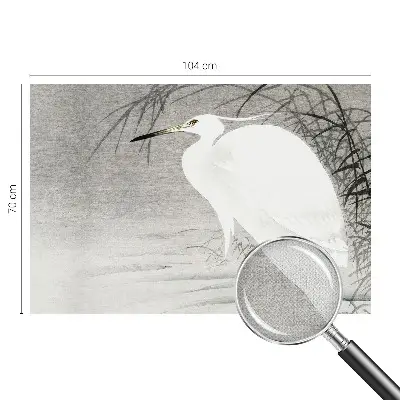 3D fotobehang met een waterlandschap