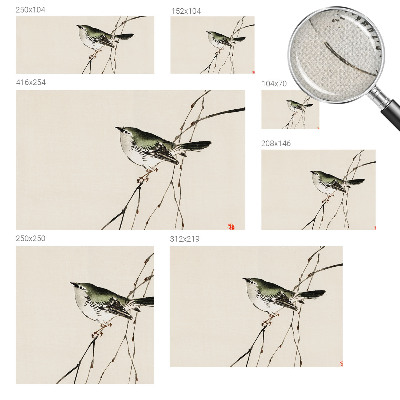 Zelfklevend fotobehang op maat Harmonieuze vogel