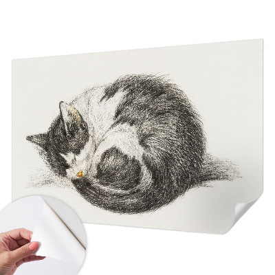 Foto behang voor de keuken met een schattig katje als motief