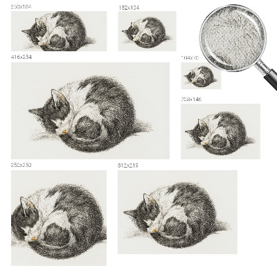 Foto behang voor de keuken Schattig katje