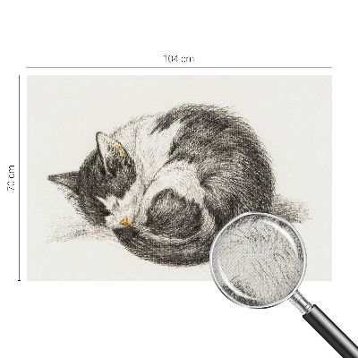Foto behang voor de keuken met een schattig katje als motief
