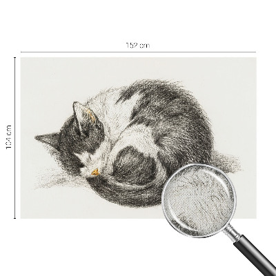 Foto behang voor de keuken Schattig katje