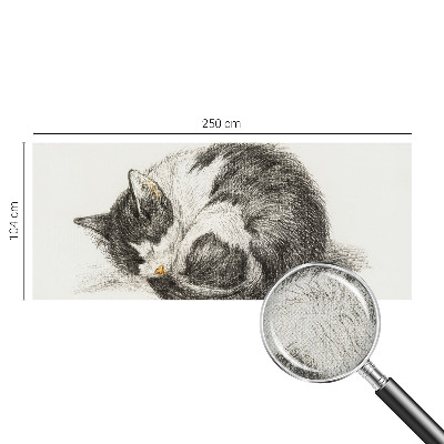 Foto behang voor de keuken met een schattig katje als motief