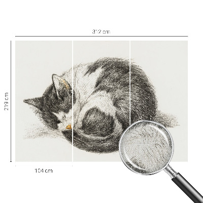 Foto behang voor de keuken met een schattig katje als motief