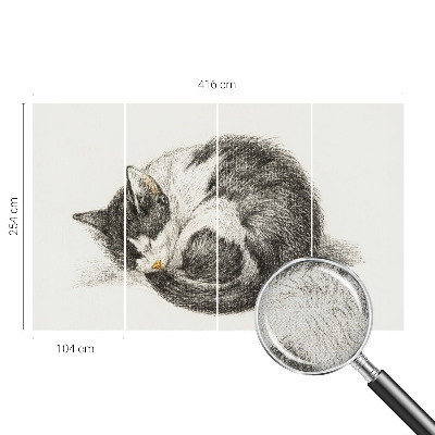Foto behang voor de keuken met een schattig katje als motief