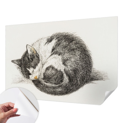 Foto behang voor de keuken met een schattig katje als motief