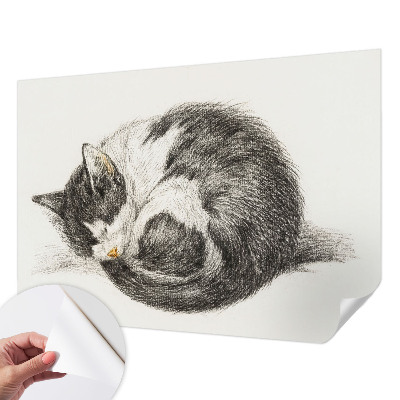 Foto behang voor de keuken met een schattig katje als motief