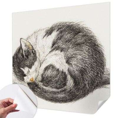 Foto behang voor de keuken met een schattig katje als motief