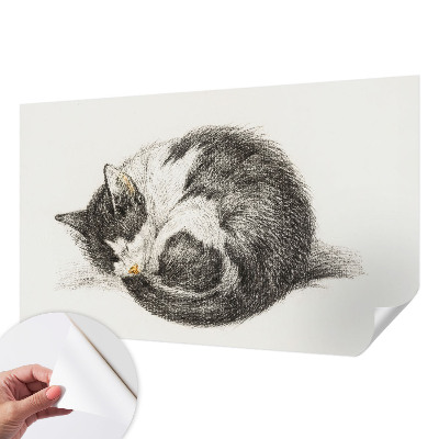 Foto behang voor de keuken met een schattig katje als motief