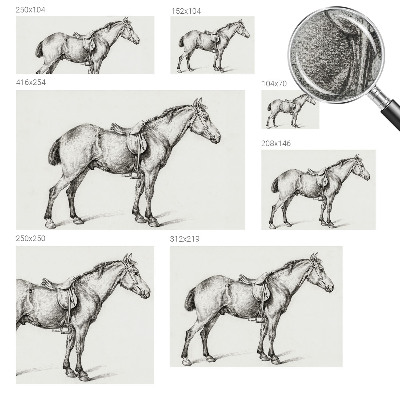 Zelfklevend fotobehang Schets van een paard