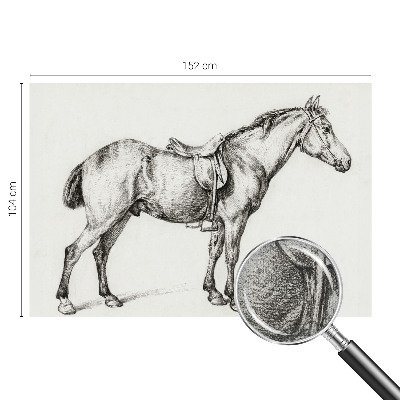 Zelfklevend fotobehang Schets van een paard