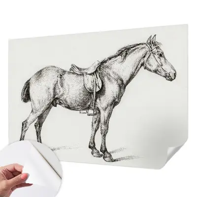 Zelfklevend fotobehang met een schets van een paard