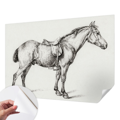 Zelfklevend fotobehang Schets van een paard