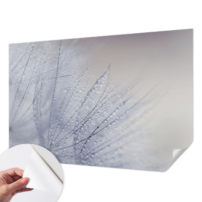 Fotobehang zelfklevend met motief van dauwige paardenbloemen