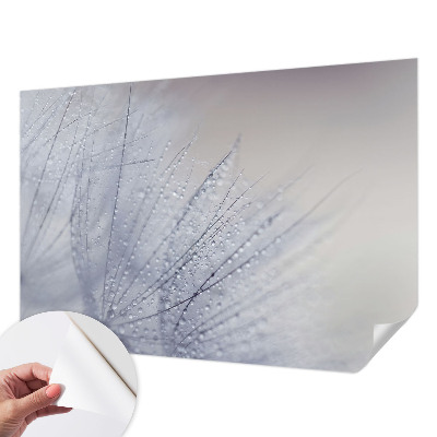 Fotobehang zelfklevend Dauwige paardenbloem