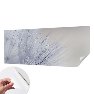 Fotobehang zelfklevend Dauwige paardenbloem
