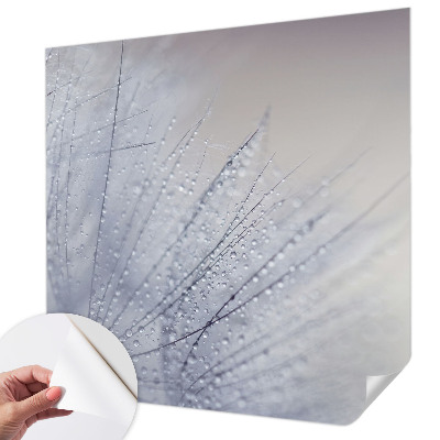 Fotobehang zelfklevend Dauwige paardenbloem