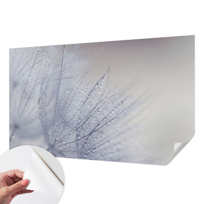 Fotobehang zelfklevend Dauwige paardenbloem