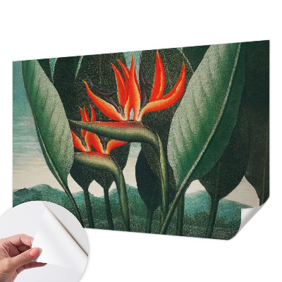 Zelfklevend fotobehang met exotische bloemen