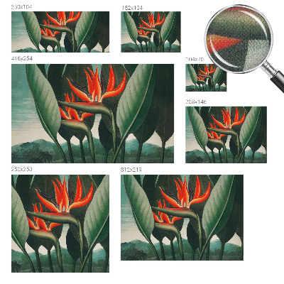 Zelfklevend fotobehang Exotische bloemen