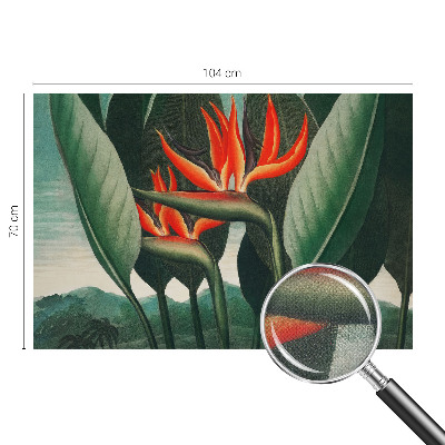 Zelfklevend fotobehang met exotische bloemen