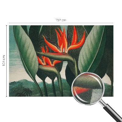 Zelfklevend fotobehang met exotische bloemen