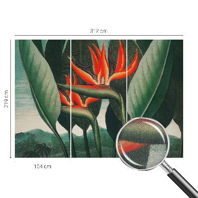 Zelfklevend fotobehang met exotische bloemen