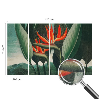 Zelfklevend fotobehang met exotische bloemen
