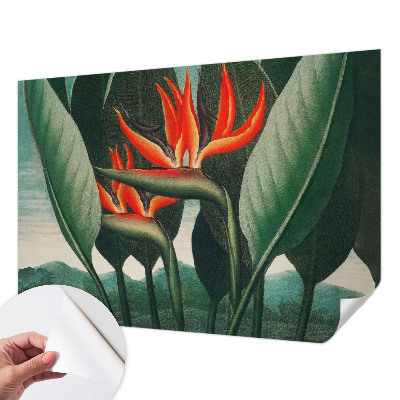 Zelfklevend fotobehang met exotische bloemen