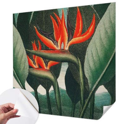 Zelfklevend fotobehang met exotische bloemen