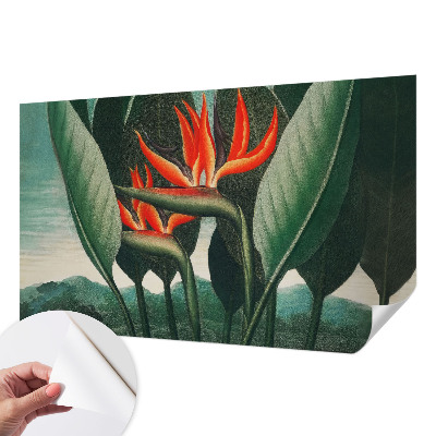 Zelfklevend fotobehang met exotische bloemen