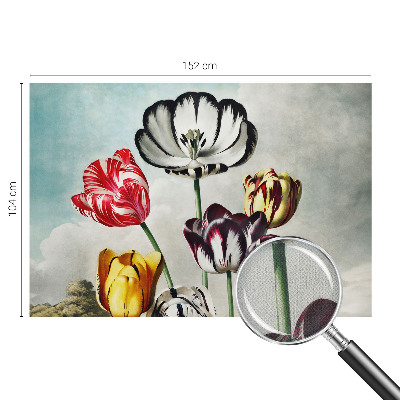 Fotobehang tienerkamer Kleurrijke tulpen