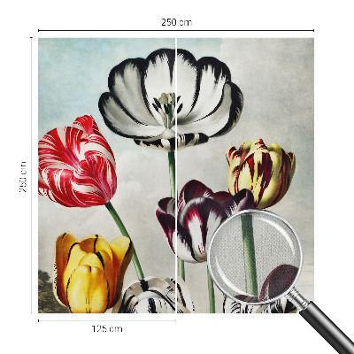 Fotobehang tienerkamer Kleurrijke tulpen