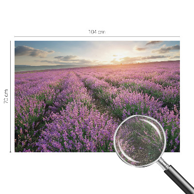 Zelfklevend fotobehang op maat Lavendelvelden