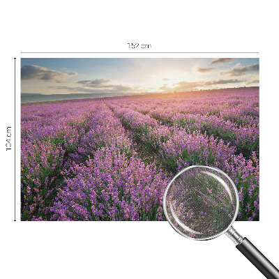 Zelfklevend fotobehang op maat Lavendelvelden